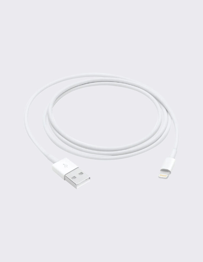 Apple Lightning to USB Cable - 0.5 metres